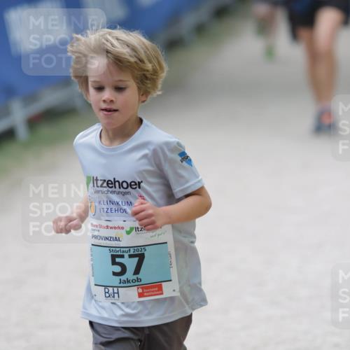 17.05.2025 - Störlauf H.Heesch http://msf.ph/oto/7893858 17.05.2025 13:44:38 Ziel 2025, 57, 2, 1 meine-sportfotos.de
