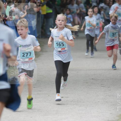 17.05.2025 - Störlauf H.Heesch http://msf.ph/oto/7893867 17.05.2025 13:44:41 Ziel 277, 165, 34 meine-sportfotos.de