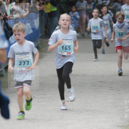 17.05.2025 - Störlauf H.Heesch http://msf.ph/oto/7893871 17.05.2025 13:44:42 Ziel 165, 277, 342, 34, 34 meine-sportfotos.de