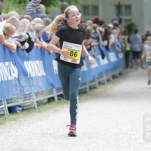 17.05.2025 - Störlauf H.Heesch http://msf.ph/oto/7893874 17.05.2025 14:10:48 Ziel 2025, 86 meine-sportfotos.de