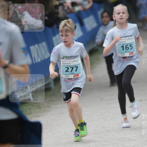 17.05.2025 - Störlauf H.Heesch http://msf.ph/oto/7893877 17.05.2025 13:44:42 Ziel 2025, 277, 165 meine-sportfotos.de