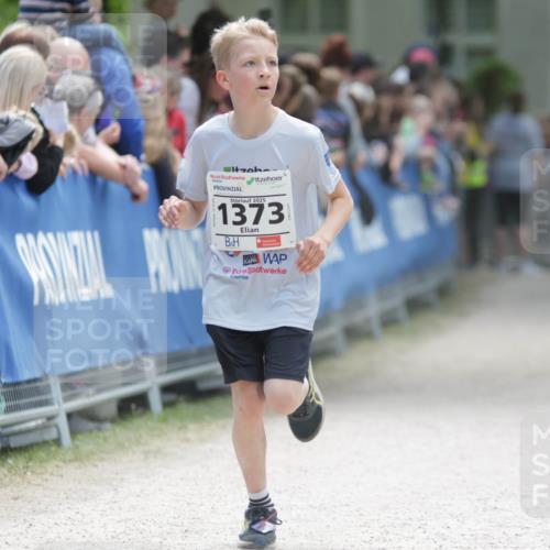 17.05.2025 - Störlauf H.Heesch http://msf.ph/oto/7893905 17.05.2025 14:10:55 Ziel 2025, 1373, 27 meine-sportfotos.de
