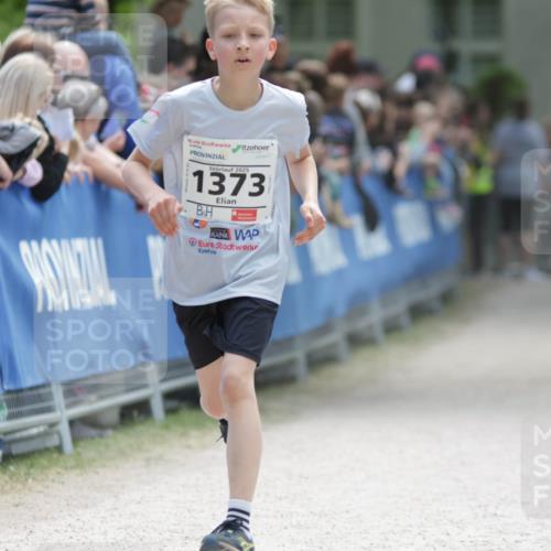 17.05.2025 - Störlauf H.Heesch http://msf.ph/oto/7893908 17.05.2025 14:10:55 Ziel 2025, 1373 meine-sportfotos.de