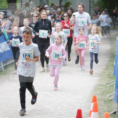 17.05.2025 - Störlauf H.Heesch http://msf.ph/oto/7893962 17.05.2025 13:45:11 Ziel 184, 39, 320, 319, 37 meine-sportfotos.de
