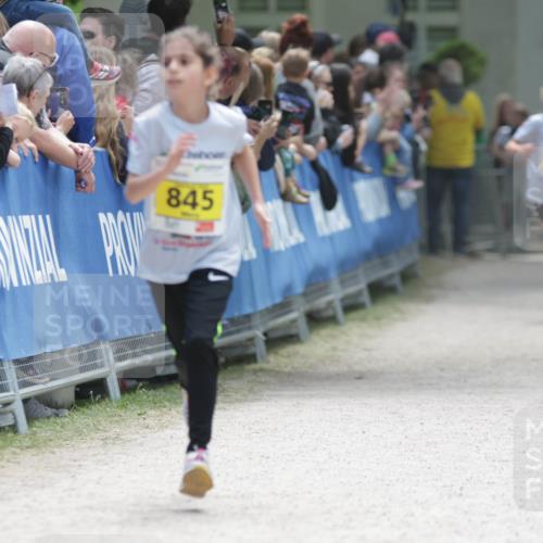 17.05.2025 - Störlauf H.Heesch http://msf.ph/oto/7893990 17.05.2025 14:11:19 Ziel 845, 700 meine-sportfotos.de