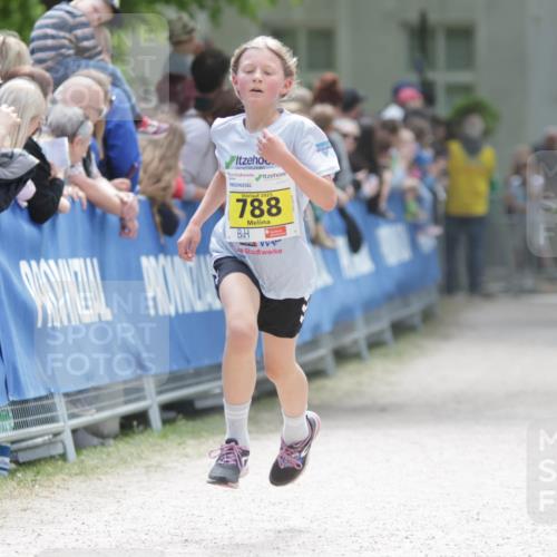17.05.2025 - Störlauf H.Heesch http://msf.ph/oto/7894000 17.05.2025 14:11:23 Ziel 2025, 788 meine-sportfotos.de