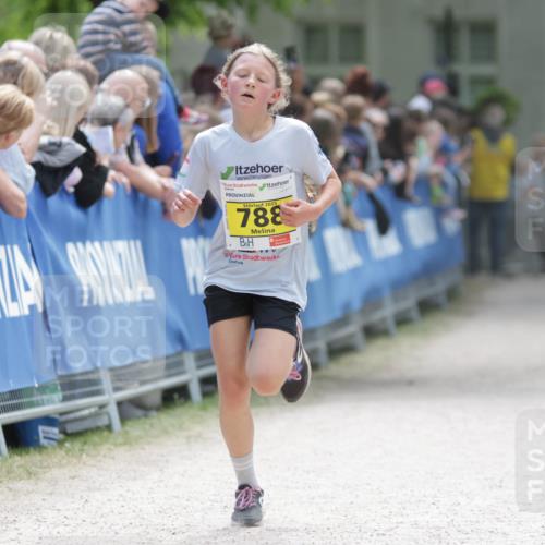 17.05.2025 - Störlauf H.Heesch http://msf.ph/oto/7894005 17.05.2025 14:11:24 Ziel 2025, 788 meine-sportfotos.de