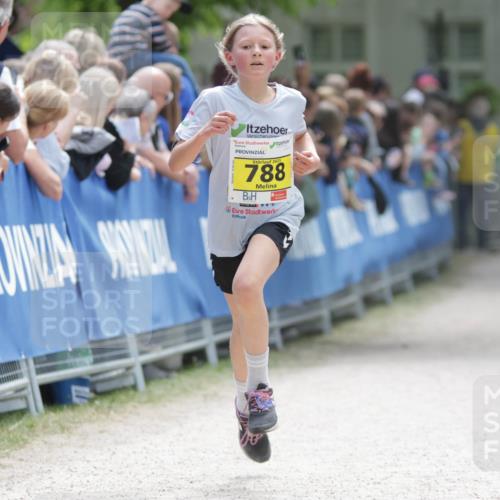 17.05.2025 - Störlauf H.Heesch http://msf.ph/oto/7894007 17.05.2025 14:11:24 Ziel 2025, 788 meine-sportfotos.de