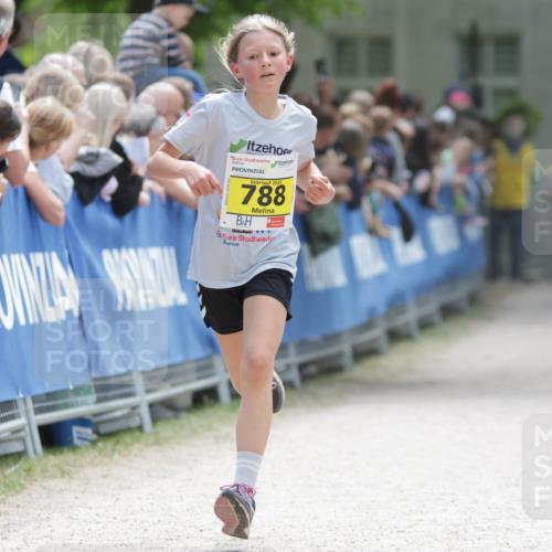 17.05.2025 - Störlauf H.Heesch http://msf.ph/oto/7894008 17.05.2025 14:11:24 Ziel 2025, 788 meine-sportfotos.de
