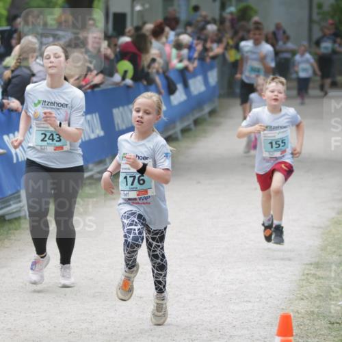 17.05.2025 - Störlauf H.Heesch http://msf.ph/oto/7894085 17.05.2025 13:45:45 Ziel 12, 243, 176, 155 meine-sportfotos.de