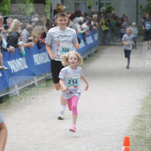 17.05.2025 - Störlauf H.Heesch http://msf.ph/oto/7894104 17.05.2025 13:45:49 Ziel 12, 366, 155, 2025, 214, 5 meine-sportfotos.de