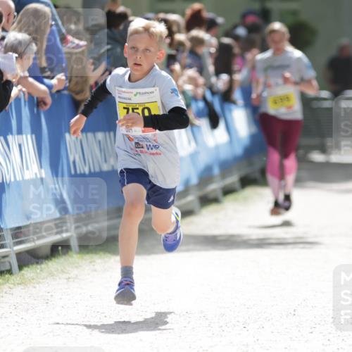 17.05.2025 - Störlauf H.Heesch http://msf.ph/oto/7894164 17.05.2025 14:12:13 Ziel 2025, 750, 233 meine-sportfotos.de