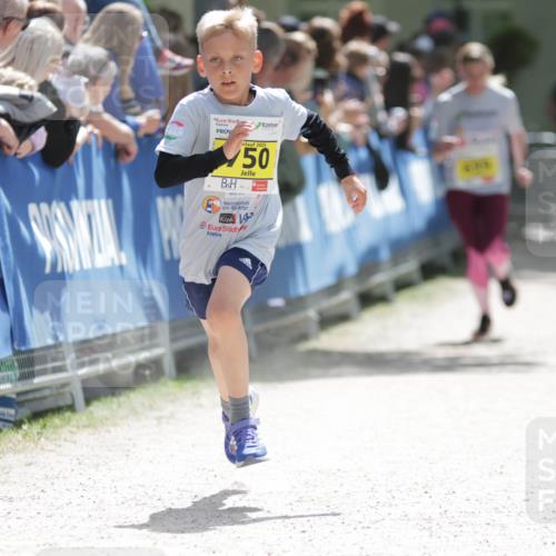 17.05.2025 - Störlauf H.Heesch http://msf.ph/oto/7894168 17.05.2025 14:12:13 Ziel 2025, 50, 4413 meine-sportfotos.de