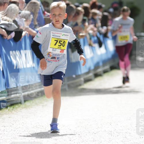 17.05.2025 - Störlauf H.Heesch http://msf.ph/oto/7894170 17.05.2025 14:12:13 Ziel 2025, 750 meine-sportfotos.de
