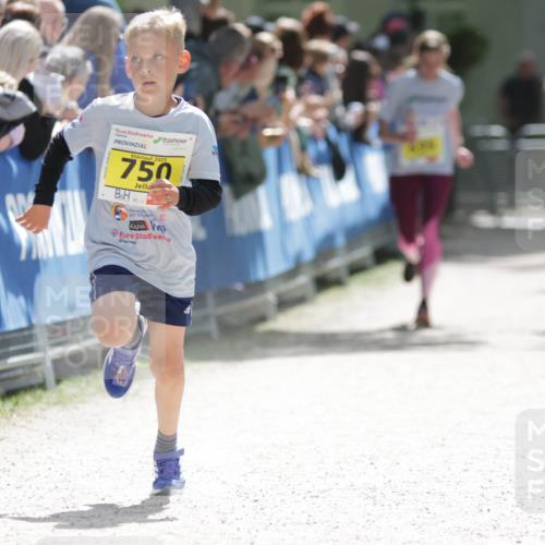 17.05.2025 - Störlauf H.Heesch http://msf.ph/oto/7894172 17.05.2025 14:12:13 Ziel 2025, 750, 443 meine-sportfotos.de