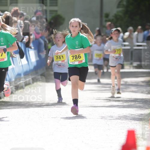 17.05.2025 - Störlauf H.Heesch http://msf.ph/oto/7894188 17.05.2025 14:12:20 Ziel 787, 741, 786, 977 meine-sportfotos.de