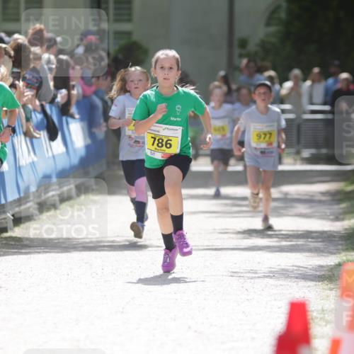 17.05.2025 - Störlauf H.Heesch http://msf.ph/oto/7894193 17.05.2025 14:12:20 Ziel 787, 786, 977 meine-sportfotos.de