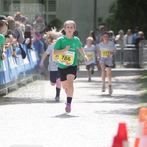 17.05.2025 - Störlauf H.Heesch http://msf.ph/oto/7894195 17.05.2025 14:12:20 Ziel 787, 786, 977 meine-sportfotos.de