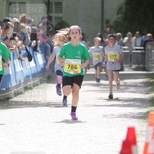 17.05.2025 - Störlauf H.Heesch http://msf.ph/oto/7894197 17.05.2025 14:12:20 Ziel 787, 786, 548, 977 meine-sportfotos.de