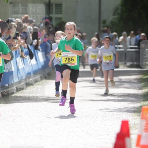 17.05.2025 - Störlauf H.Heesch http://msf.ph/oto/7894199 17.05.2025 14:12:20 Ziel 787, 74, 786, 545, 977 meine-sportfotos.de