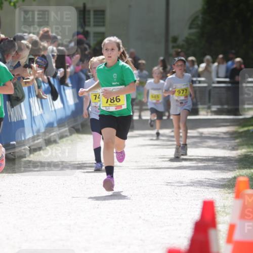 17.05.2025 - Störlauf H.Heesch http://msf.ph/oto/7894201 17.05.2025 14:12:20 Ziel 787, 74, 786, 977 meine-sportfotos.de