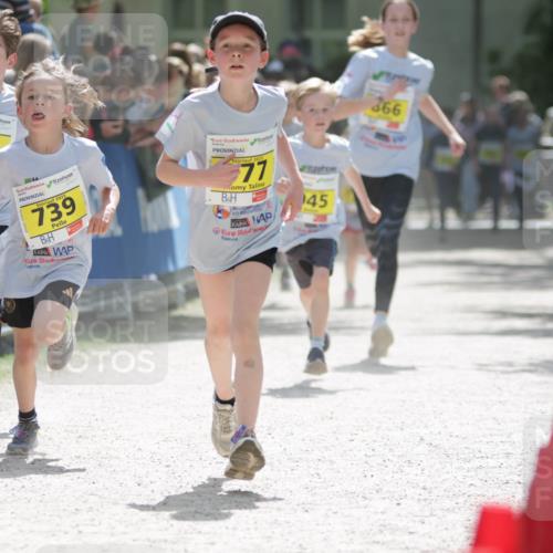 17.05.2025 - Störlauf H.Heesch http://msf.ph/oto/7894216 17.05.2025 14:12:25 Ziel 2025, 738, 2025, 739, 2025, 77, 45, 366 meine-sportfotos.de