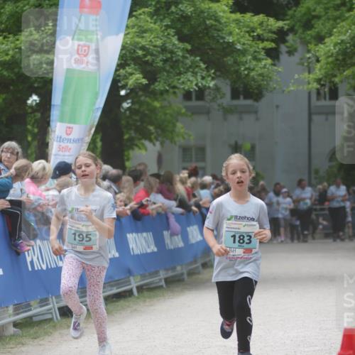 17.05.2025 - Störlauf H.Heesch http://msf.ph/oto/7894223 17.05.2025 13:46:31 Ziel 195, 183 meine-sportfotos.de