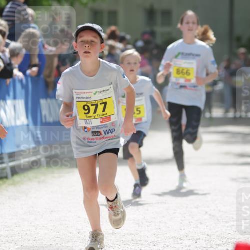 17.05.2025 - Störlauf H.Heesch http://msf.ph/oto/7894225 17.05.2025 14:12:26 Ziel 39, 2025, 977, 25, 5, 866 meine-sportfotos.de