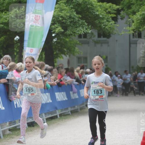 17.05.2025 - Störlauf H.Heesch http://msf.ph/oto/7894226 17.05.2025 13:46:31 Ziel 195, 2025, 183 meine-sportfotos.de