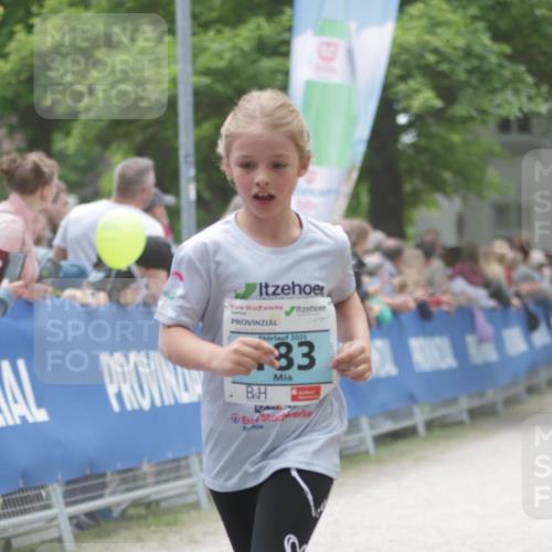 17.05.2025 - Störlauf H.Heesch http://msf.ph/oto/7894235 17.05.2025 13:46:33 Ziel 2025, 33 meine-sportfotos.de
