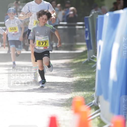 17.05.2025 - Störlauf H.Heesch http://msf.ph/oto/7894272 17.05.2025 14:12:34 Ziel 85, 948, 87, 877 meine-sportfotos.de