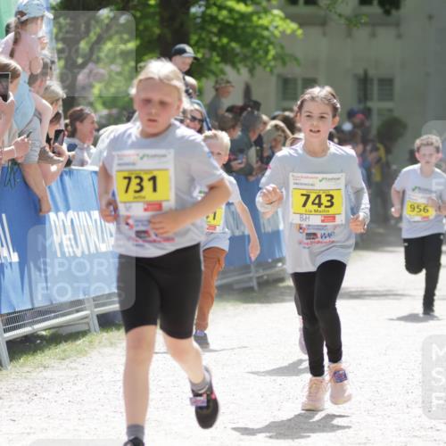 17.05.2025 - Störlauf H.Heesch http://msf.ph/oto/7894343 17.05.2025 14:12:50 Ziel 731, 2025, 743, 956 meine-sportfotos.de