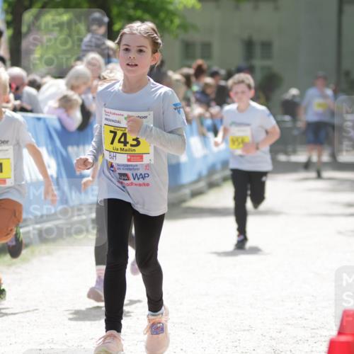 17.05.2025 - Störlauf H.Heesch http://msf.ph/oto/7894346 17.05.2025 14:12:51 Ziel 31, 941, 745, 2 meine-sportfotos.de