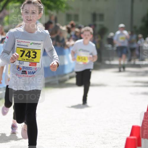 17.05.2025 - Störlauf H.Heesch http://msf.ph/oto/7894354 17.05.2025 14:12:52 Ziel 2025, 743, 2 meine-sportfotos.de