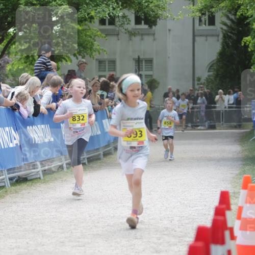 17.05.2025 - Störlauf H.Heesch http://msf.ph/oto/7894366 17.05.2025 14:13:27 Ziel 832, 893, 858 meine-sportfotos.de