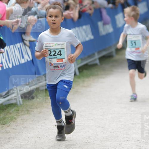 17.05.2025 - Störlauf H.Heesch http://msf.ph/oto/7894374 17.05.2025 13:47:07 Ziel 2025, 224, 51 meine-sportfotos.de