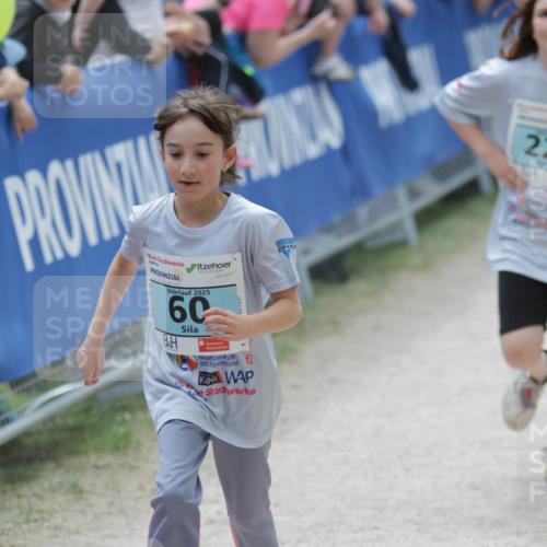 17.05.2025 - Störlauf H.Heesch http://msf.ph/oto/7894424 17.05.2025 13:47:18 Ziel 2025, 60, 22 meine-sportfotos.de
