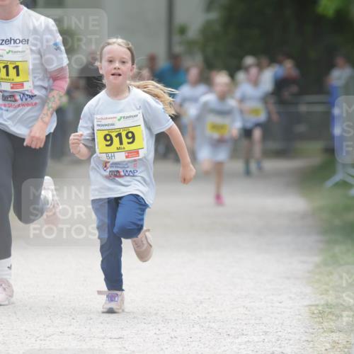 17.05.2025 - Störlauf H.Heesch http://msf.ph/oto/7894545 17.05.2025 14:14:10 Ziel 2025, 911, 2025, 919, 24 meine-sportfotos.de