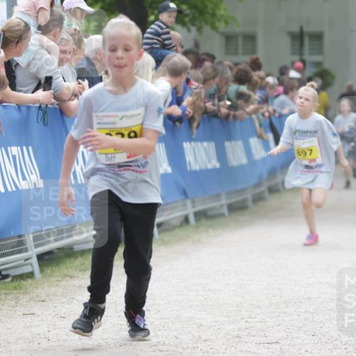 17.05.2025 - Störlauf H.Heesch http://msf.ph/oto/7894582 17.05.2025 14:14:14 Ziel 1992, 897 meine-sportfotos.de