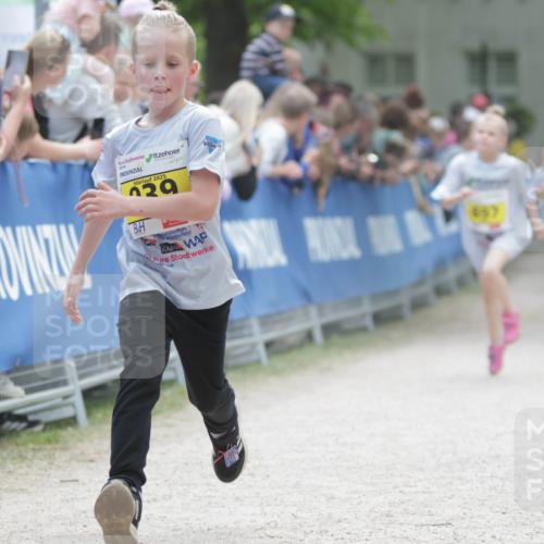 17.05.2025 - Störlauf H.Heesch http://msf.ph/oto/7894584 17.05.2025 14:14:14 Ziel 2025, 29, 657 meine-sportfotos.de