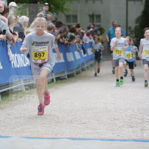 17.05.2025 - Störlauf H.Heesch http://msf.ph/oto/7894598 17.05.2025 14:14:16 Ziel 799, 2025, 897, 755 meine-sportfotos.de