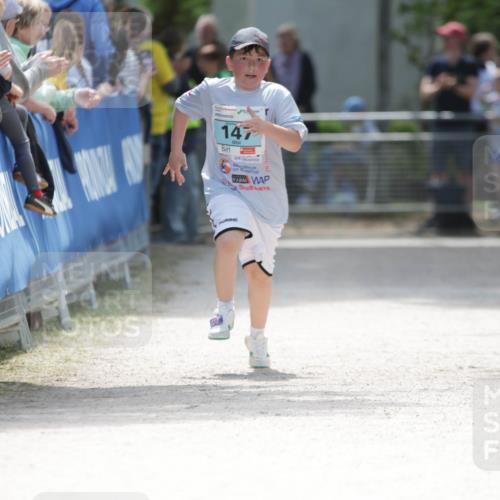 17.05.2025 - Störlauf H.Heesch http://msf.ph/oto/7894648 17.05.2025 13:49:58 Ziel 147 meine-sportfotos.de