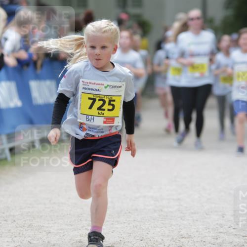 17.05.2025 - Störlauf H.Heesch http://msf.ph/oto/7894677 17.05.2025 14:14:30 Ziel 2025, 725, 5 meine-sportfotos.de