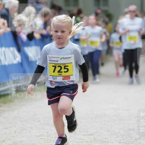 17.05.2025 - Störlauf H.Heesch http://msf.ph/oto/7894686 17.05.2025 14:14:31 Ziel 2025, 725 meine-sportfotos.de