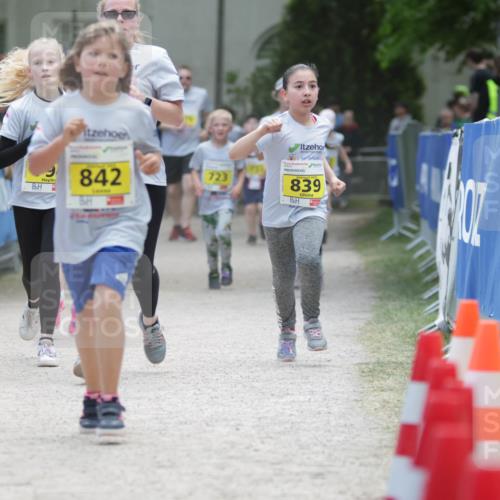 17.05.2025 - Störlauf H.Heesch http://msf.ph/oto/7894711 17.05.2025 14:14:33 Ziel 746, 842, 723, 839 meine-sportfotos.de