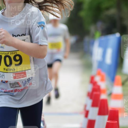 17.05.2025 - Störlauf H.Heesch http://msf.ph/oto/7894737 17.05.2025 14:14:39 Ziel 2025, 709, 2 meine-sportfotos.de