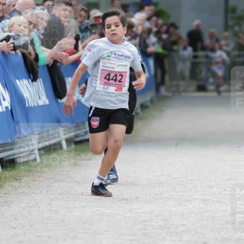17.05.2025 - Störlauf H.Heesch http://msf.ph/oto/7894779 17.05.2025 13:54:27 Ziel 2025, 442 meine-sportfotos.de