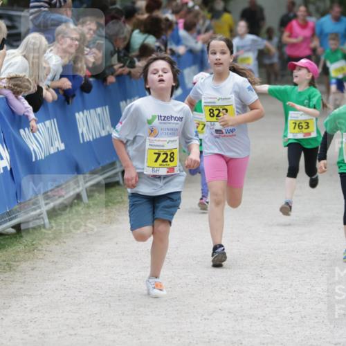 17.05.2025 - Störlauf H.Heesch http://msf.ph/oto/7894780 17.05.2025 14:15:02 Ziel 82, 763, 728, 766 meine-sportfotos.de