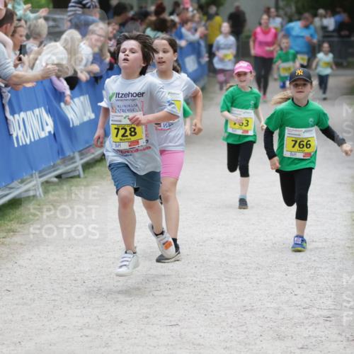 17.05.2025 - Störlauf H.Heesch http://msf.ph/oto/7894790 17.05.2025 14:15:02 Ziel 728, 7222, 766 meine-sportfotos.de