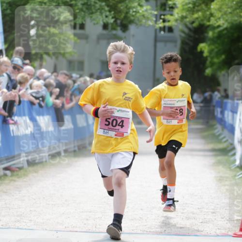 17.05.2025 - Störlauf H.Heesch http://msf.ph/oto/7894904 17.05.2025 13:55:25 Ziel 2025, 503, 8, 2025, 504 meine-sportfotos.de